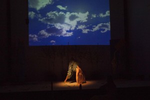 2017,NATURA ARTE-FATTA,palazzo delle stelline,MILANO (59).jpg